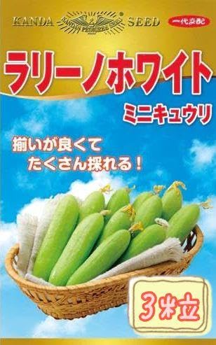 Amazon.co.jp: 野菜の種ミニきゅうりラリーノホワイト① : ホビー
